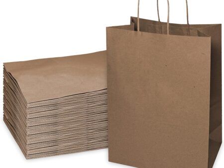 Brown Paper Bags Medium / Large