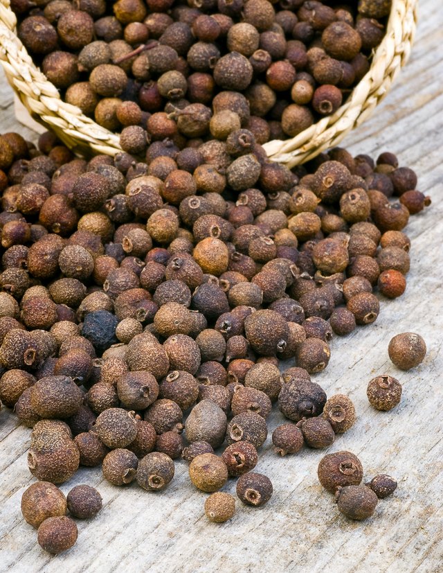 Bundle Allspice - Image 2